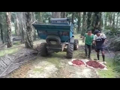 WEA08 جرار زيت النخيل