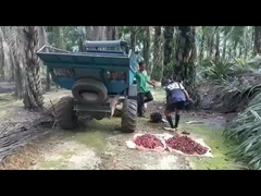 1325mm فتح الكابينة زيت النخيل آلة حصاد الوزن 1250kg مع كلاب