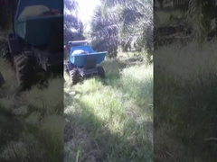 نوع الإطارات الزراعية جرار زيت النخيل يعمل بمحرك الديزل