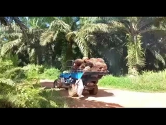 نظام هيدروليكي زيت النخيل جرار آلة للاستخراج الفعال لزيت النخيل