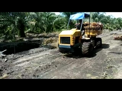 جرار زراعي هيدروليكي صغير 14 حصان محرك جرار طاقة لمزارع زيت النخيل